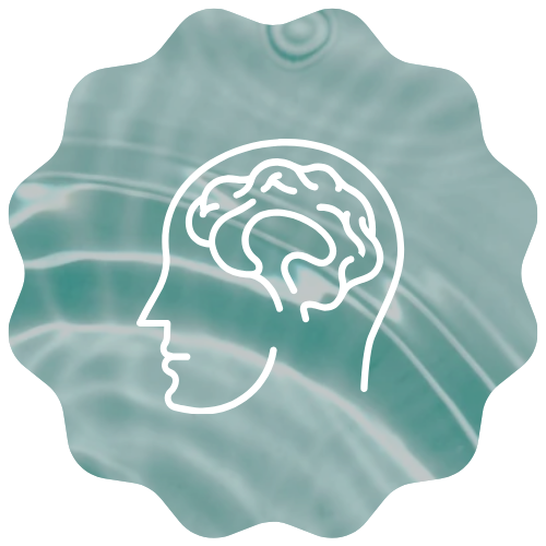12.png__PID:fd1dbeed-beeb-42a0-8837-4d2f181d1b66