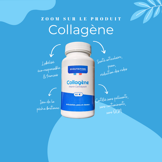 Description du collagène marin de type 2 Mynutriform